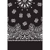 Picture of Paisley Bandanas