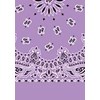 Picture of Paisley Bandanas