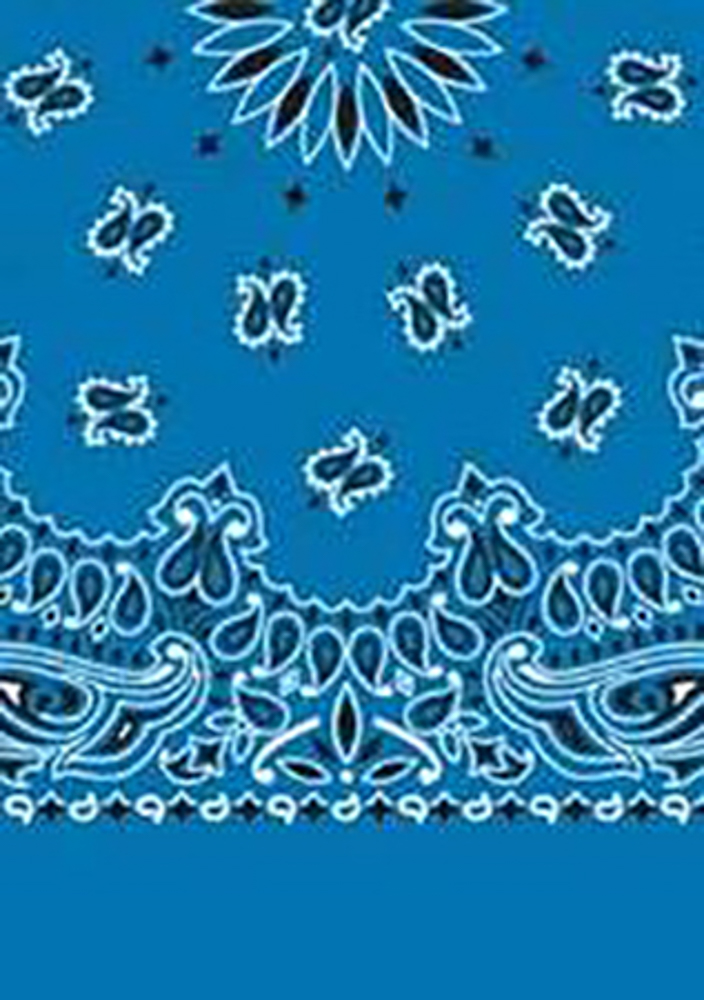 Picture of Paisley Bandanas