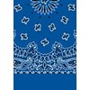 Picture of Paisley Bandanas