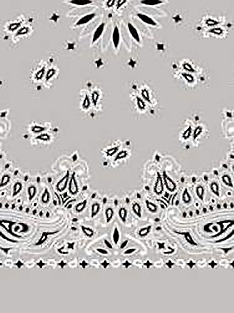 Picture of Paisley Bandanas