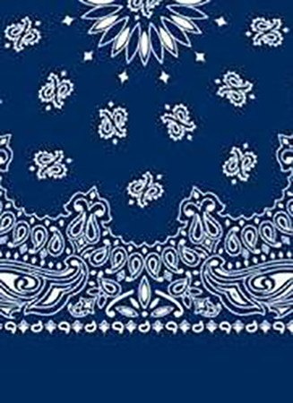 Picture of Paisley Bandanas