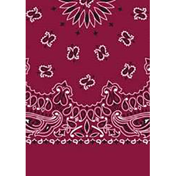 Picture of Paisley Bandanas