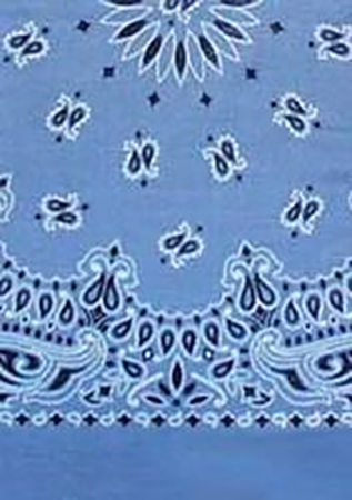 Picture of Paisley Bandanas