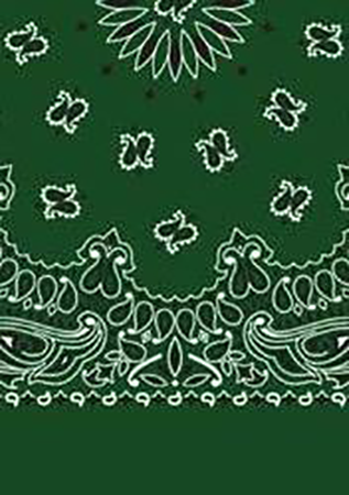 Picture of Paisley Bandanas