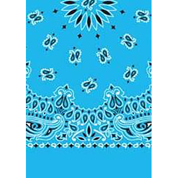 Picture of Paisley Bandanas