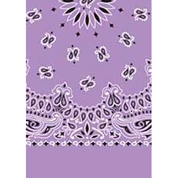 Picture of Paisley Bandanas