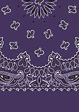 Picture of Paisley Bandanas