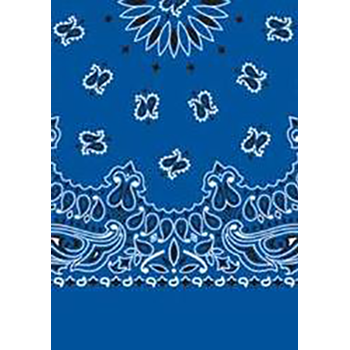 Picture of Paisley Bandanas