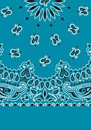 Picture of Paisley Bandanas