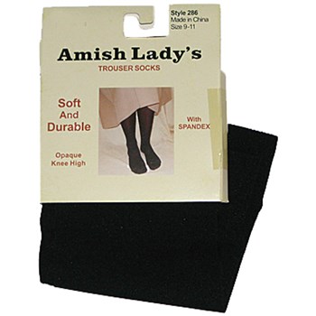 Picture of Amish Lady