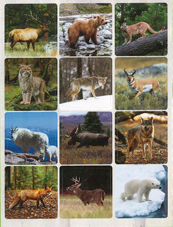 Picture of Country Creations Inspirations Stickers