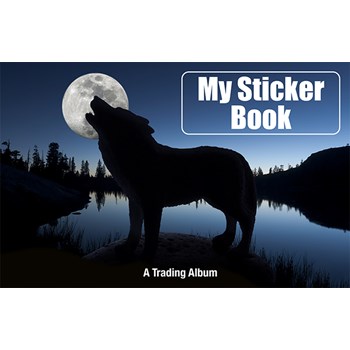 Picture of Sticker Trading Albums