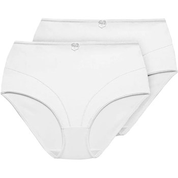 Picture of Control Top Shaping Brief