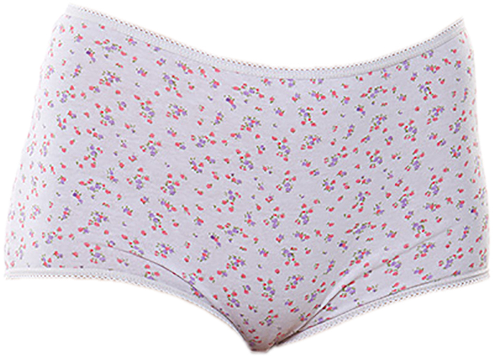 Picture of Cotton Floral Brief