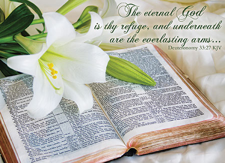 Picture of Flowers with Bible