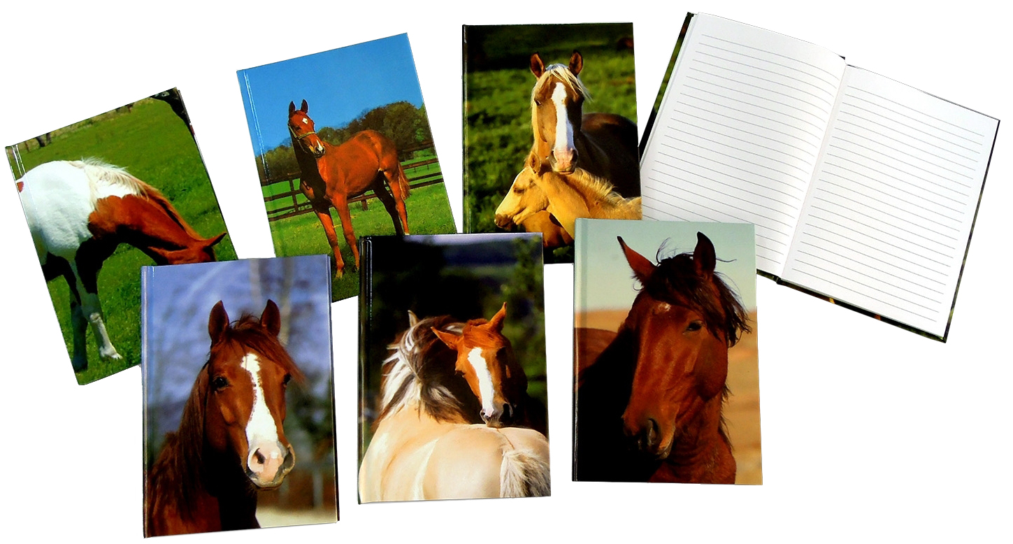 Picture of Horse Hardcover Notebook