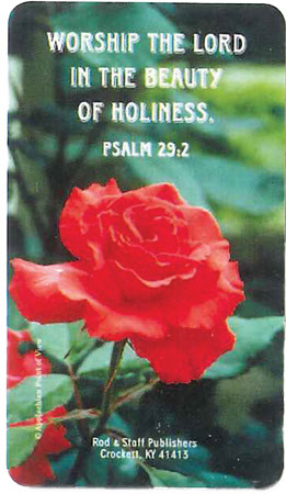 Picture of Scripture Verse Magnet