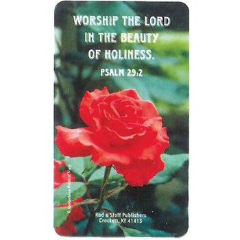 Picture of Scripture Verse Magnet