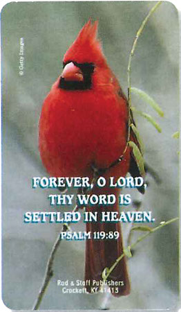 Picture of Scripture Verse Magnet