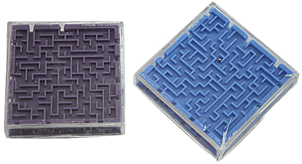 Picture of Plastic Maze Game