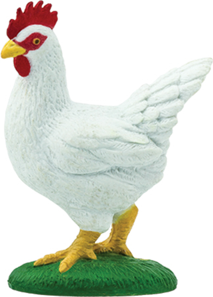 Picture of Chicken