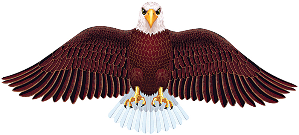 Picture of American Bald Eagle Kite 55"