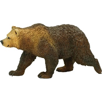 Picture of Grizzly Bear