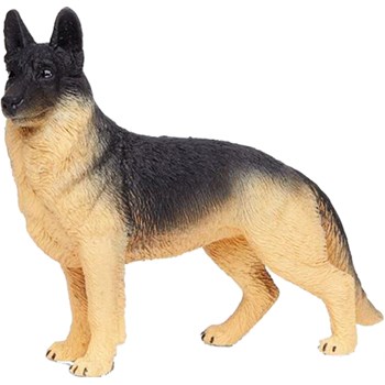 Picture of German Shepherd