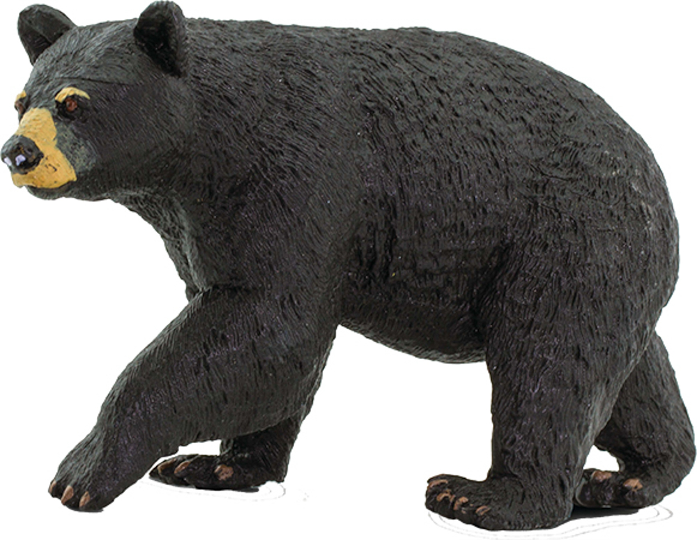 Picture of Black Bear