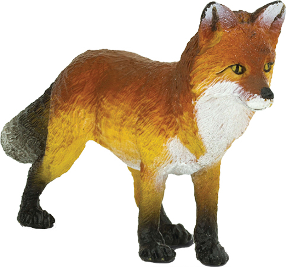 Picture of Fox