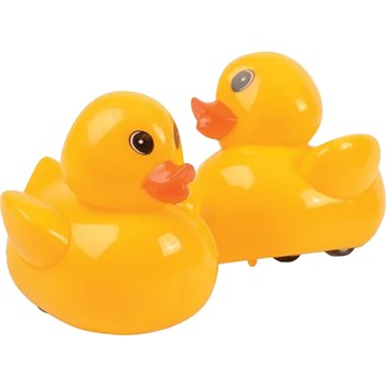 Picture of Pull Back Ducks