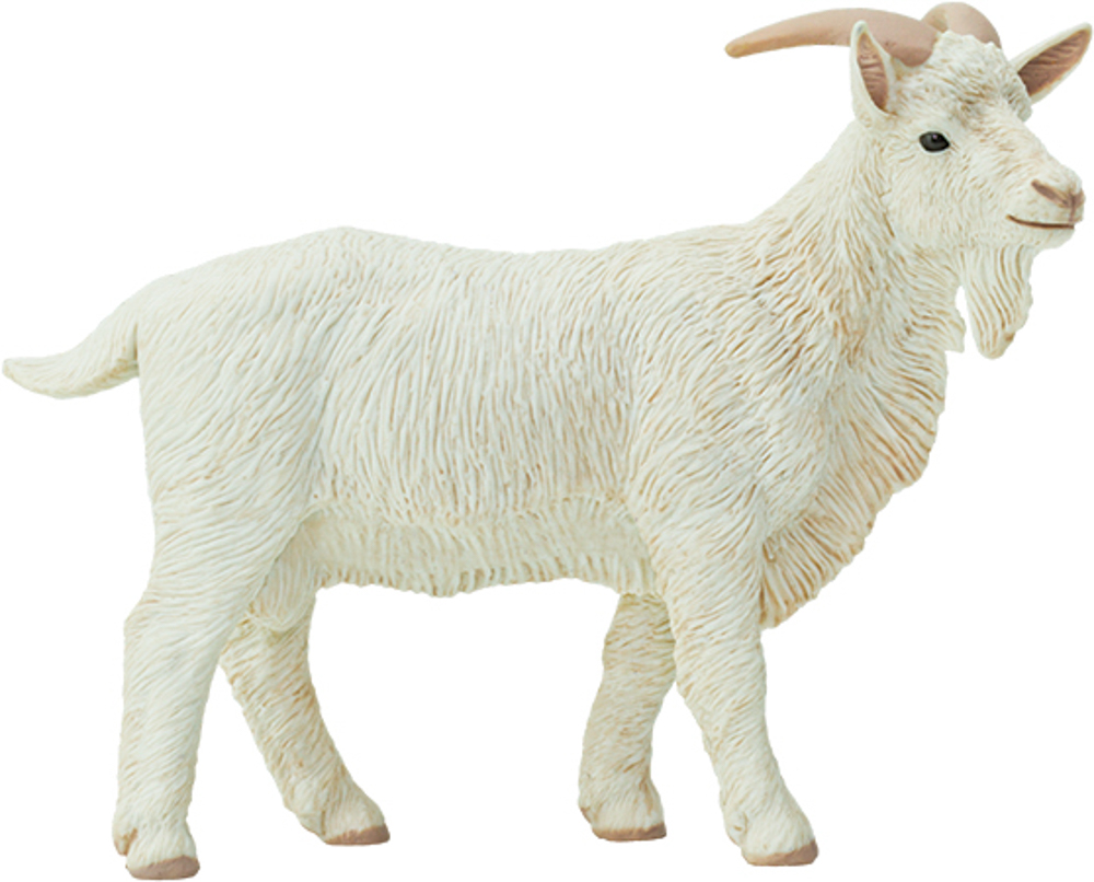 Picture of Billy Goat