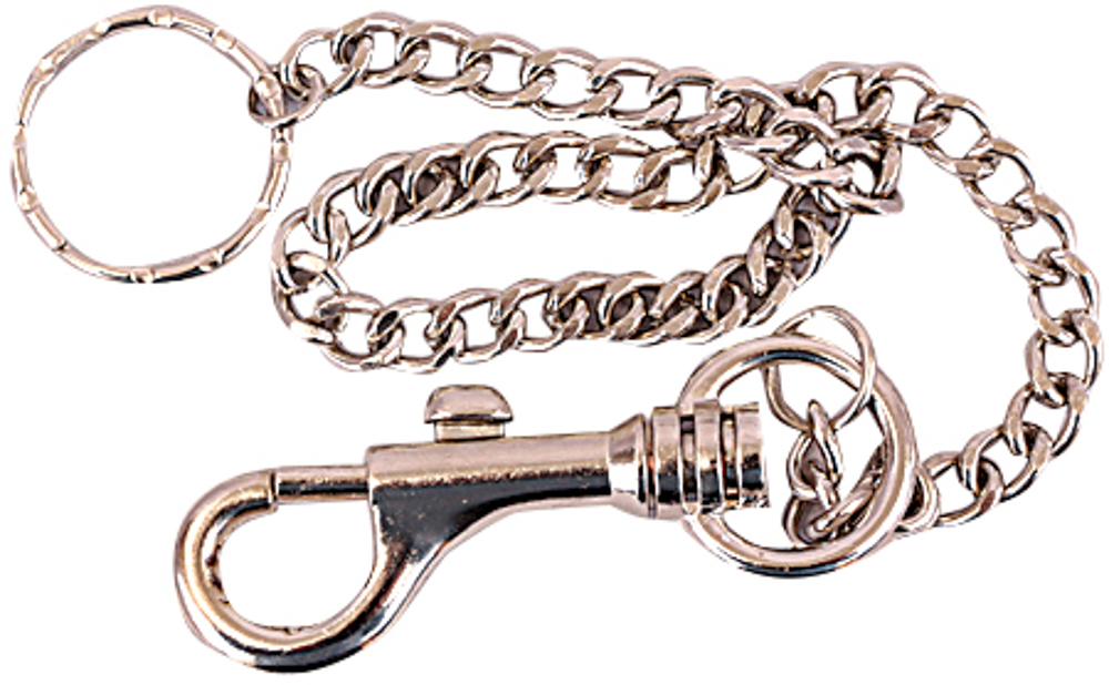 Picture of Chain With Clip 12"