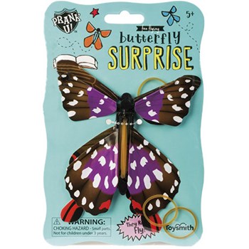 Picture of Butterfly Surprise