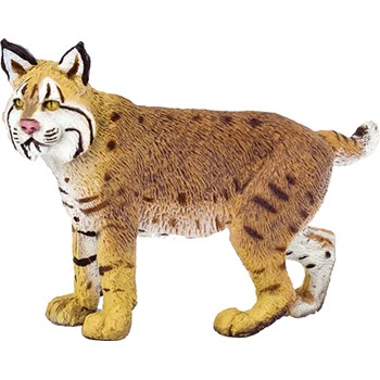 Picture of Bobcat